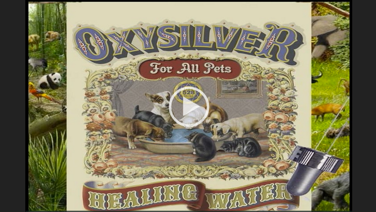 OxySilver for Pets
